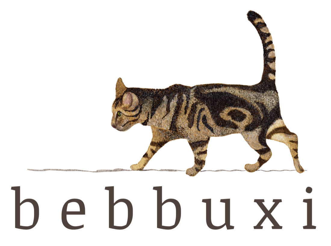 bebbuxi — a walking tabby cat above the studio name